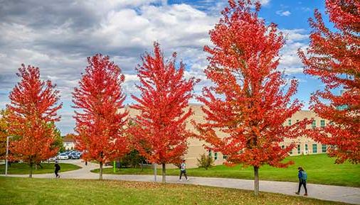 学生s walking on campus in the fall